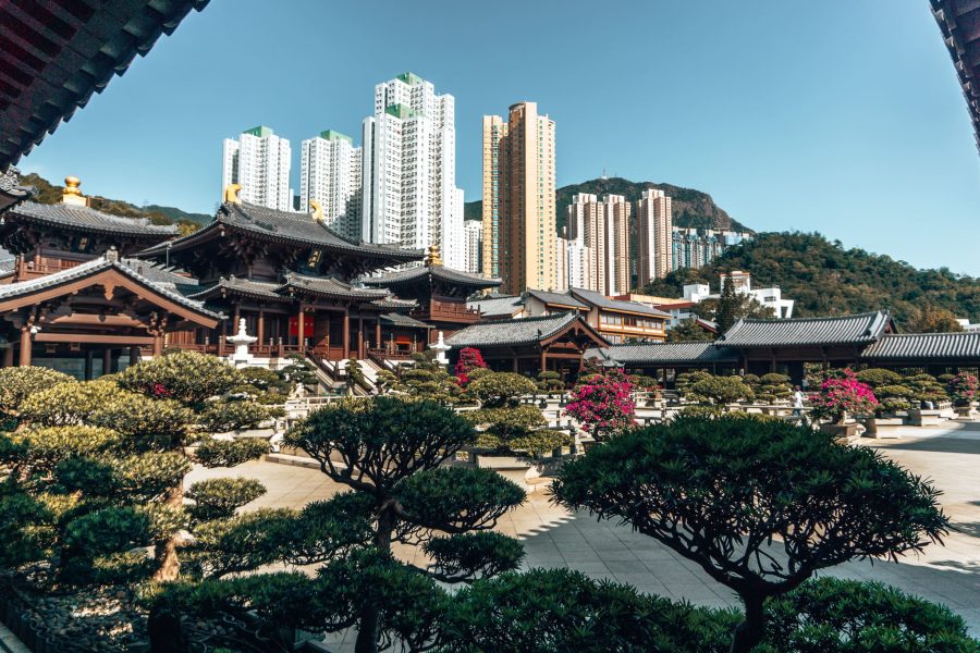 The impressive Chi Lin Nunnery and its beautiful gardens with towering skyscrapers above it, things to do in Hong Kong