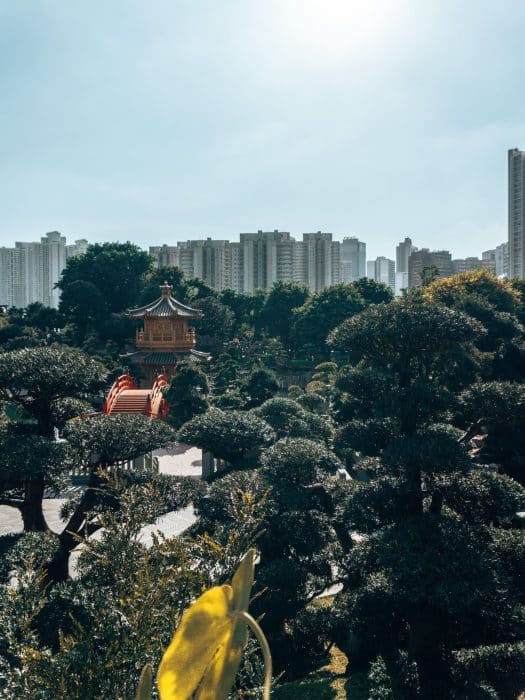 The Pavilion of Absolute Perfection and red Zi Wu Bridge surrounded by lush greenery with a backdrop of high rise buildings, Chi Lin Nunnery and Nan Lian Garden, Hong Kong