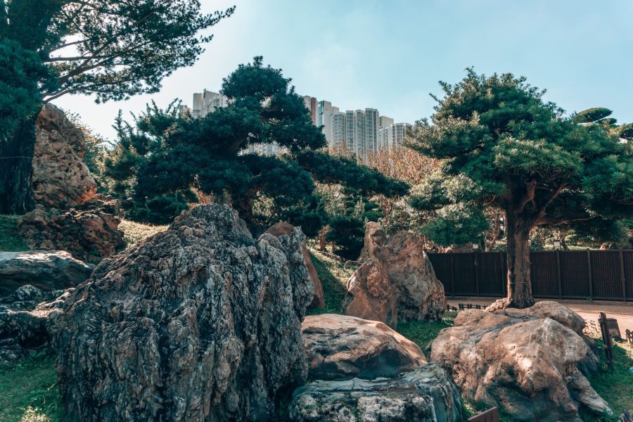 Several large rocks and lush green trees at Nan Lian Garden, Hong Kong