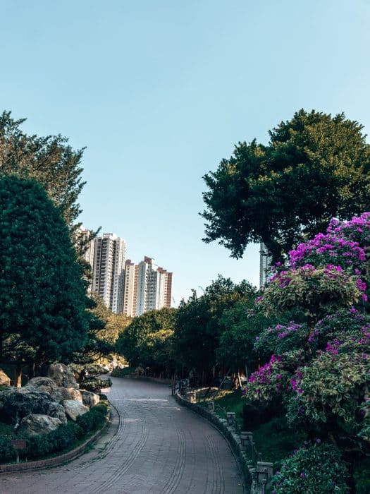 A tree-lined pathway in Nan Lian Garden, Hong Kong