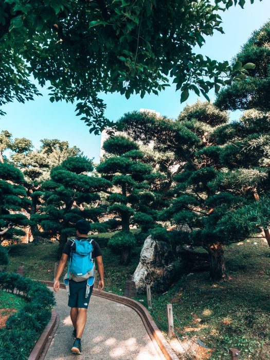 Andy walking along a tree-lined pathway in Nan Lian Garden, Hong Kong