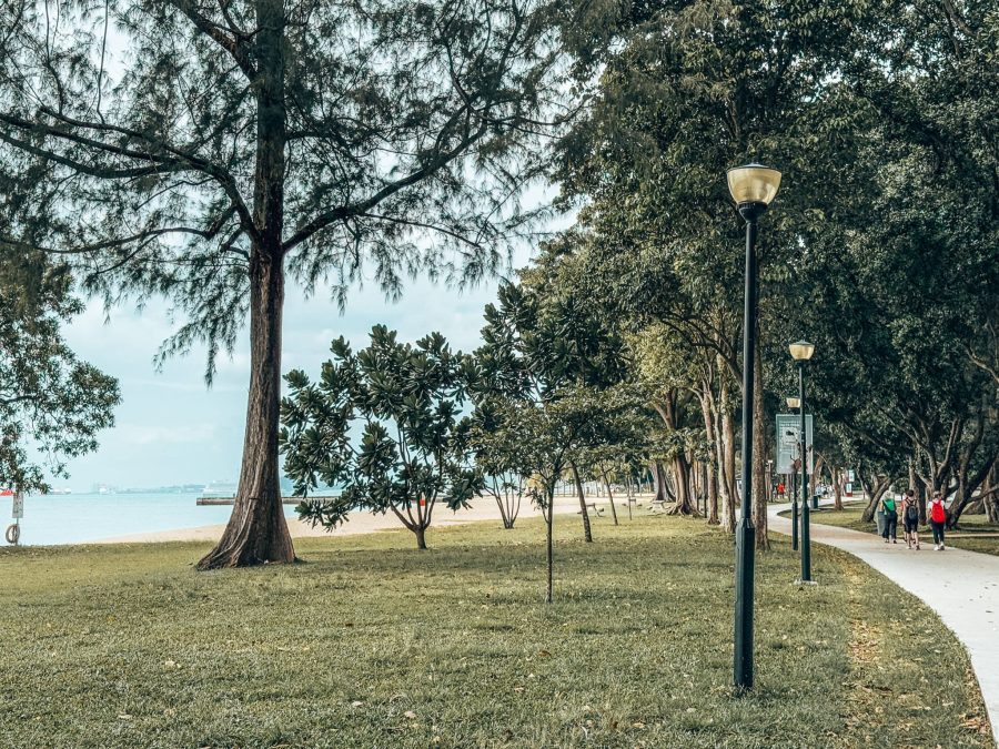 Grass and a path running next to the beach and ocean, East Coast Park, Katong Joo Chiat, Singapore Itinerary