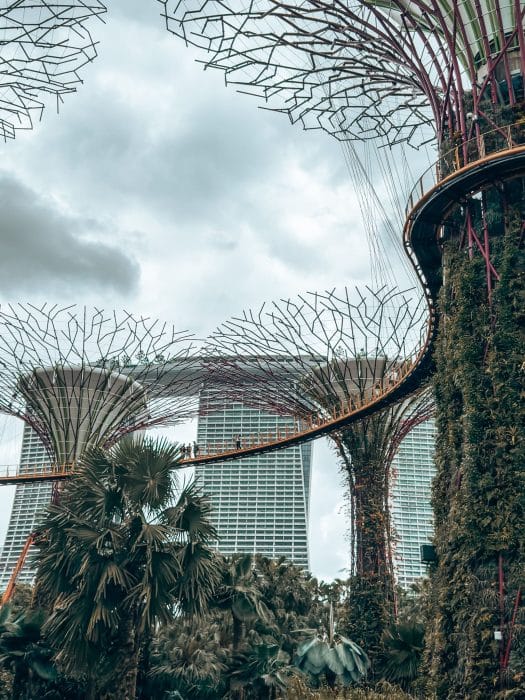 The OCBC Skyway suspended between the Supertrees with Marina Bay Sands behind, Supertree Grove, Gardens by the Bay, 3-Day Singapore Itinerary