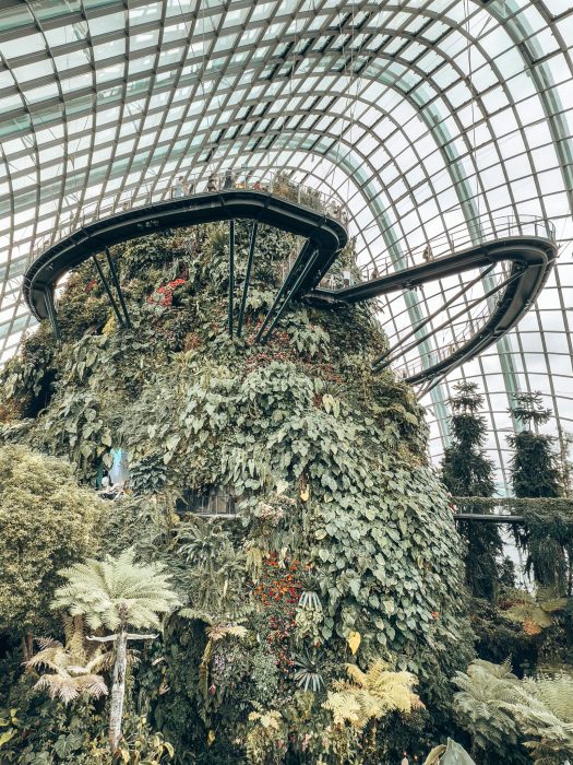 An aerial walkway winding around lush greenery at the Cloud Forest Observatory, Gardens by the Bay, 3-Day Singapore Itinerary