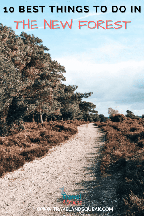 A pin on the best things to do in the New Forest, Hampshire