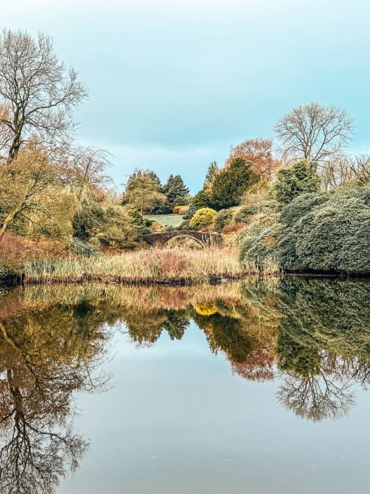 A serene pond with a little bridge surrounded by lush greenery at The Tawny Hotel, Best Hotels in Staffordshire