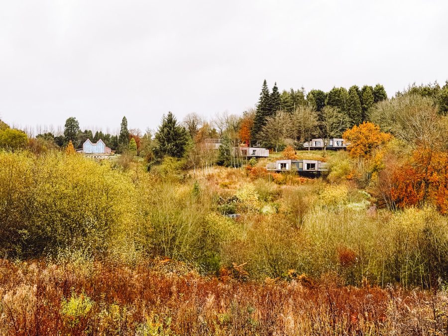 The Plumicorn and lodges scattered around the vast grounds at The Tawny Hotel, Staffordshire