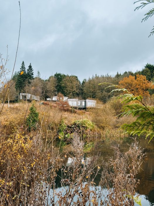 Lodges scattered around the vast grounds at The Tawny Hotel, Staffordshire