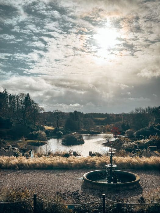Sunrise over the Tawny Hotel estate, best dog-friendly hotels in Staffordshire