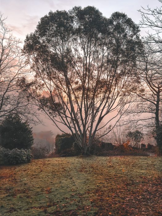 A misty morning over the grounds of the Tawny Hotel, luxury hotels in Staffordshire
