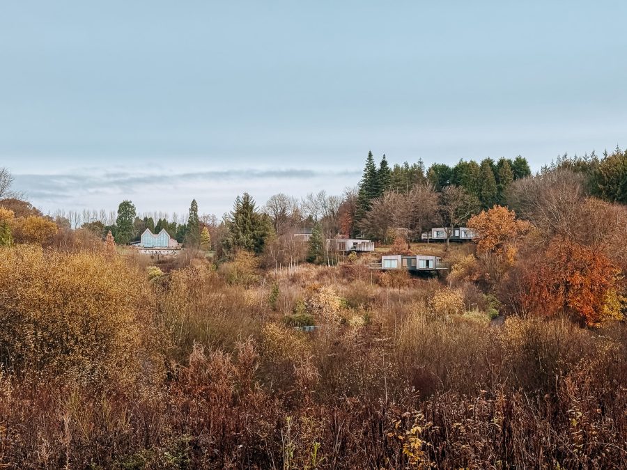 The Plumicorn and lodges scattered around the vast grounds at The Tawny Hotel, Staffordshire