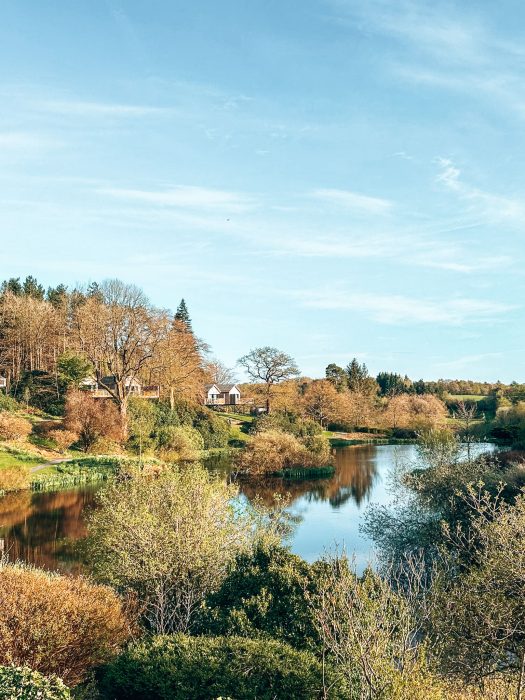 Lush green grounds and a large pond at The Tawny Hotel, Staffordshire
