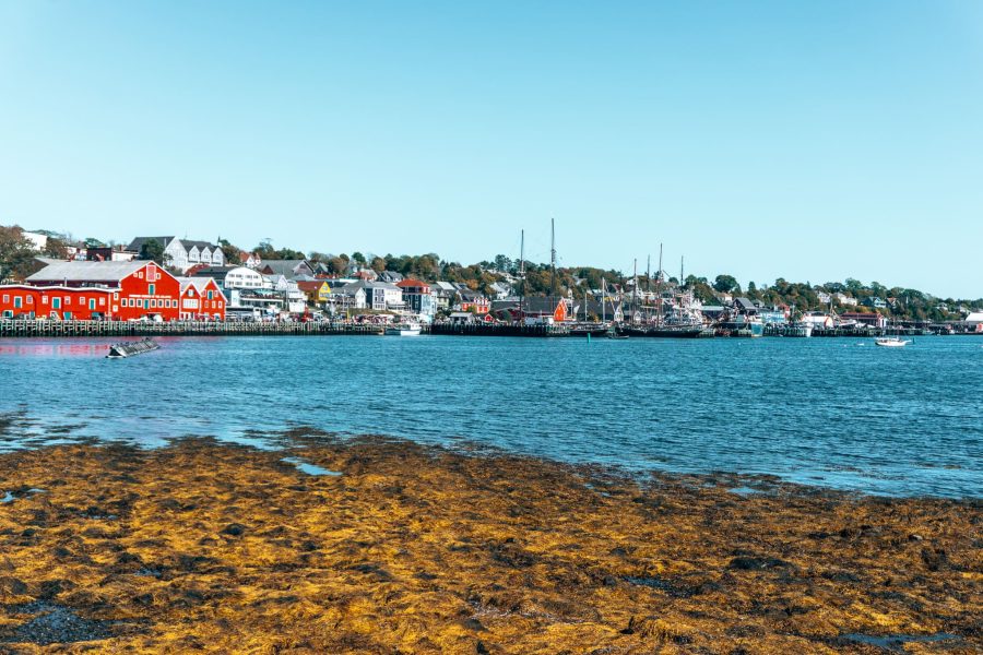 Colourful buildings line the Lunenburg Waterfront, Best Things to do in Nova Scotia