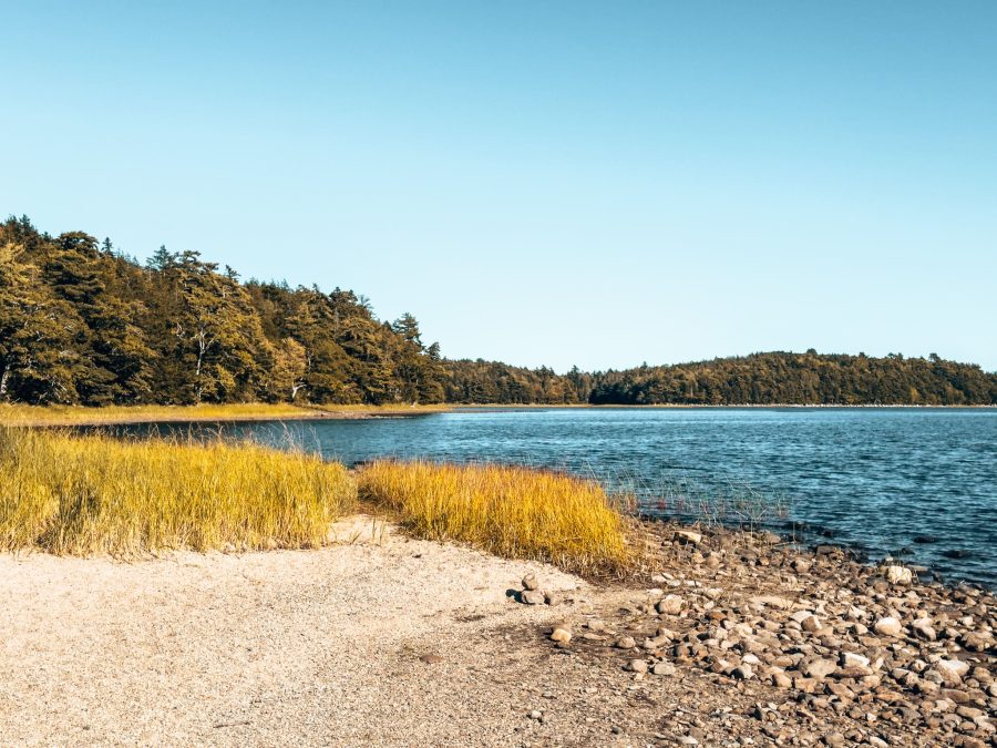 The peaceful Kejimkujik Lake surrounded by lush forest, places to visit in Nova Scotia