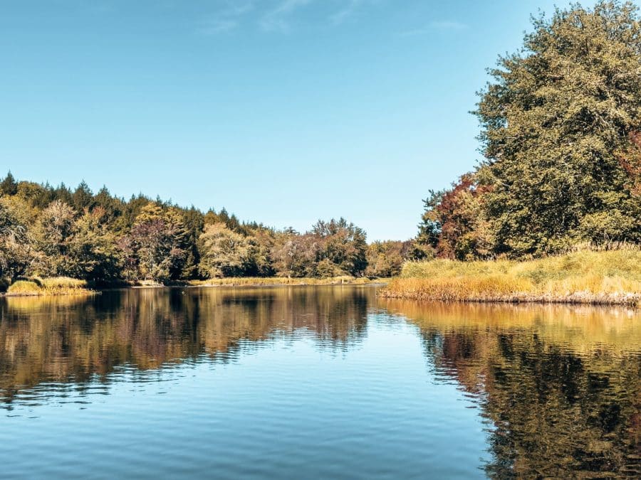 A mirrored river reflecting the trees while canoeing in Kejimkujik National Park, best things to do in Nova Scotia