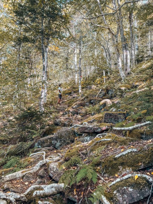 Andy in the forest on the rugged Salt Mountain Trail, Whycocomagh Provincial Park, best hiking trails in Nova Scotia