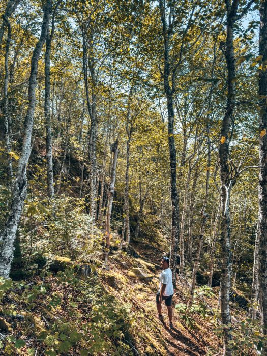 Andy in the forest on the Salt Mountain Trail, Whycocomagh Provincial Park, best hiking trails in Nova Scotia