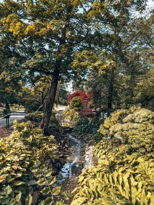 A stream flowing through trees and plants at Halifax Public Gardens, places to visit in Nova Scotia