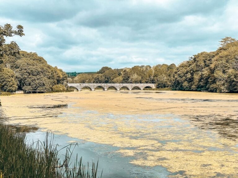 Eight Arch Bridge surrounded by lush thick greenery crossing Bosherston Lakes full of waterlilies, Stackpole Wildlife Walk