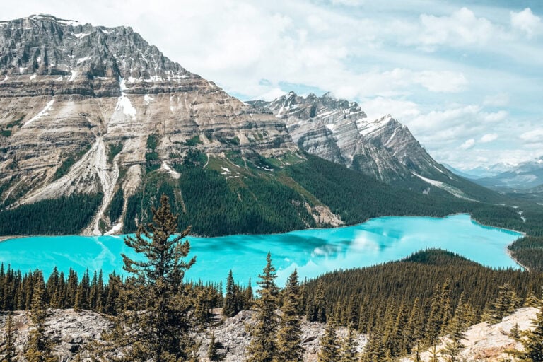 The striking blue Peyto Lake along the Icefields Parkway on our drive from Calgary to Vancouver